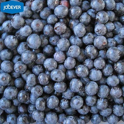 IQF Frozen Blueberry.jpg