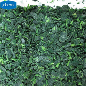 IQF Frozen Spinach leaf cut.jpg