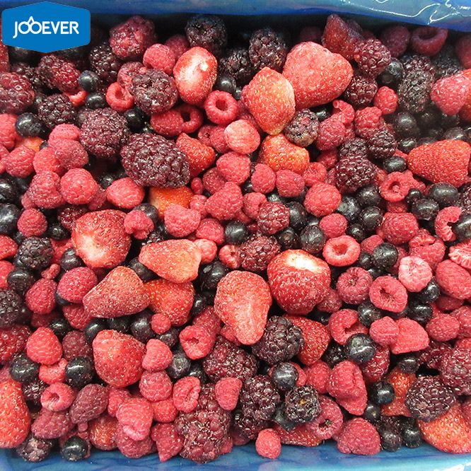 Exploring the Growing European Market for Frozen Berries