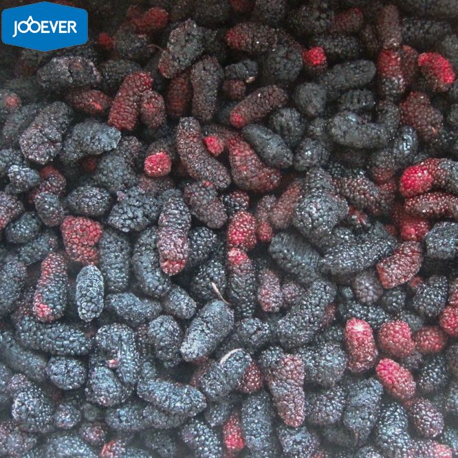 IQF Frozen Mulberry .jpg